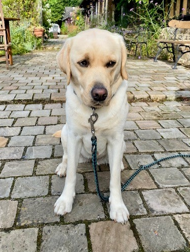 Sensibelchen